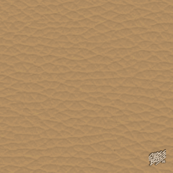 AUDI - COCOS - COCOSBEIGE