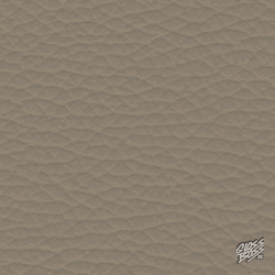 AUDI - KAMUT - KAMUTBEIGE