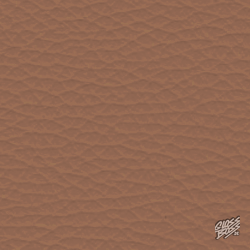 AUDI - PALOMINOBRAUN (R8)