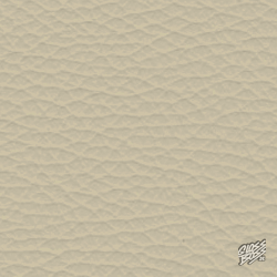 BMW - BEIGE 85 OREGON Z4