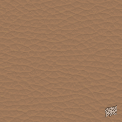 BMW - BRAUN (MINI U25)