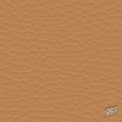 BMW - COGNAC- SENSAFIN