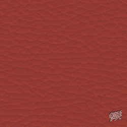 BMW - INDIANAPOLIS-ROT