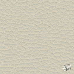 BMW - POLARBEIGE (MINI)