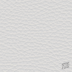 BMW - SILVERSTONE-SENSAFIN