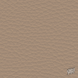 MERCEDES-BENZ - BORNEO