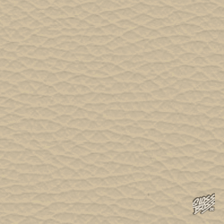 MERCEDES-BENZ - BUCKSKIN