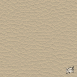 MERCEDES-BENZ - CHAMPIGNON 1156