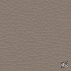 MERCEDES-BENZ - CORTECCIA PEARL