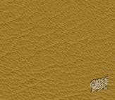 MERCEDES-BENZ - CURCUMA