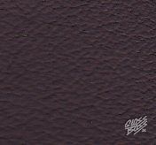 MERCEDES-BENZ - DUNKELVIOLETT DESIGNO