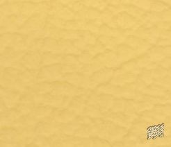 MERCEDES-BENZ - LOTOSGELB