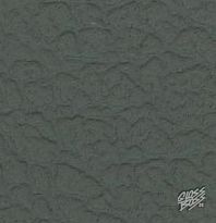 MERCEDES-BENZ - ORIONGRAU