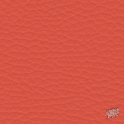 MERCEDES-BENZ - RED PEPPER (AMG 232)