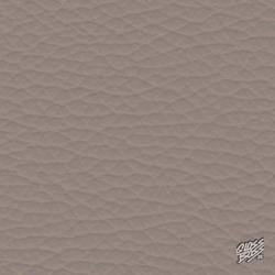 MERCEDES-BENZ - ROSE GRAU (R232)