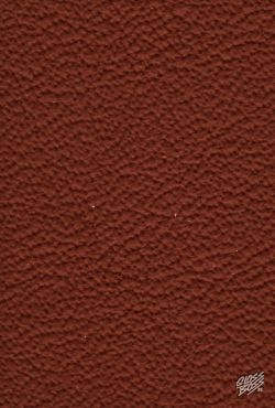 MERCEDES-BENZ - SIENABRAUN