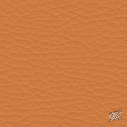 MERCEDES-BENZ - SIENABRAUN (W206)