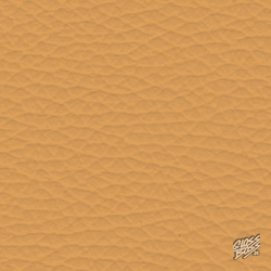 PORSCHE - BERNSTEINORANGE