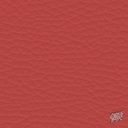 PORSCHE - CAN-CAN- SCARLETTROT