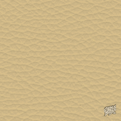 PORSCHE - CHAMPAGNER