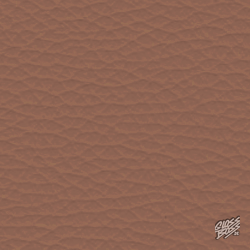 PORSCHE - COHIBABRAUN