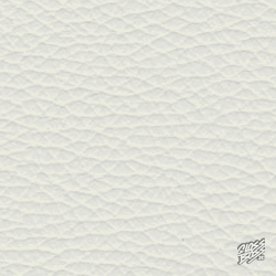 PORSCHE - GIOTTOGRAU (W23)