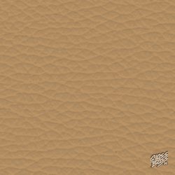 PORSCHE - HAVANNA 1237