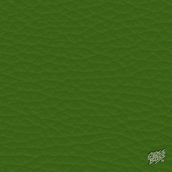 PORSCHE - MAMBAGRÜN