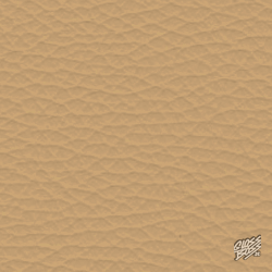 PORSCHE - SO CARAWAY